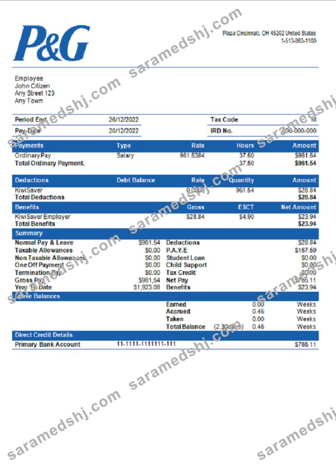 USA Procter & Gamble consumer products company pay stub